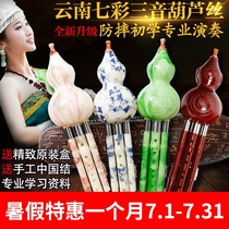 Yunnan gourd silk blue and white porcelain gourd c tune b tone Beginner introduction Colorful three-tone performance national musical instrument