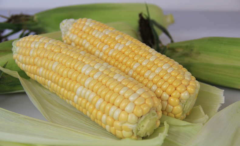 新鲜玉米棒云南水果甜脆玉米可生吃现摘现发即食非种子5斤包邮