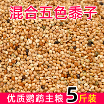 Bird grain tiger skin peony Xuanfeng small and medium-sized parrot feed five-color millet parrot mixed grain millet 5kg