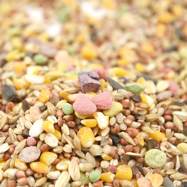 Hamster Deluxe Grain Mixed Food Hamster Supplies Self-Grained Hamster Food Golden Bear 1500g Hamster Deluxe Grain Mixed Food Hamster Supplies Self-Grained Hamster Food Golden Bear 1500g