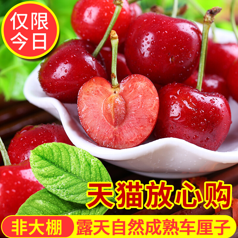 國產(chǎn)現(xiàn)摘智星果 煙臺美早櫻桃車厘子3斤 