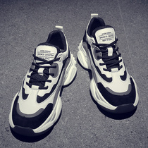 Tide Card Sports Casual Shoes Mens Spring New 100 Hitch Super Fire Ins Nets Red Panda Interior Heightening Wise Old Daddy Shoes