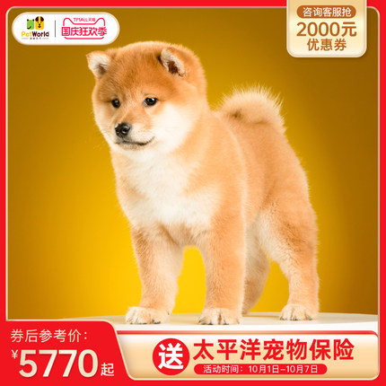 宠爱天下官方旗舰店