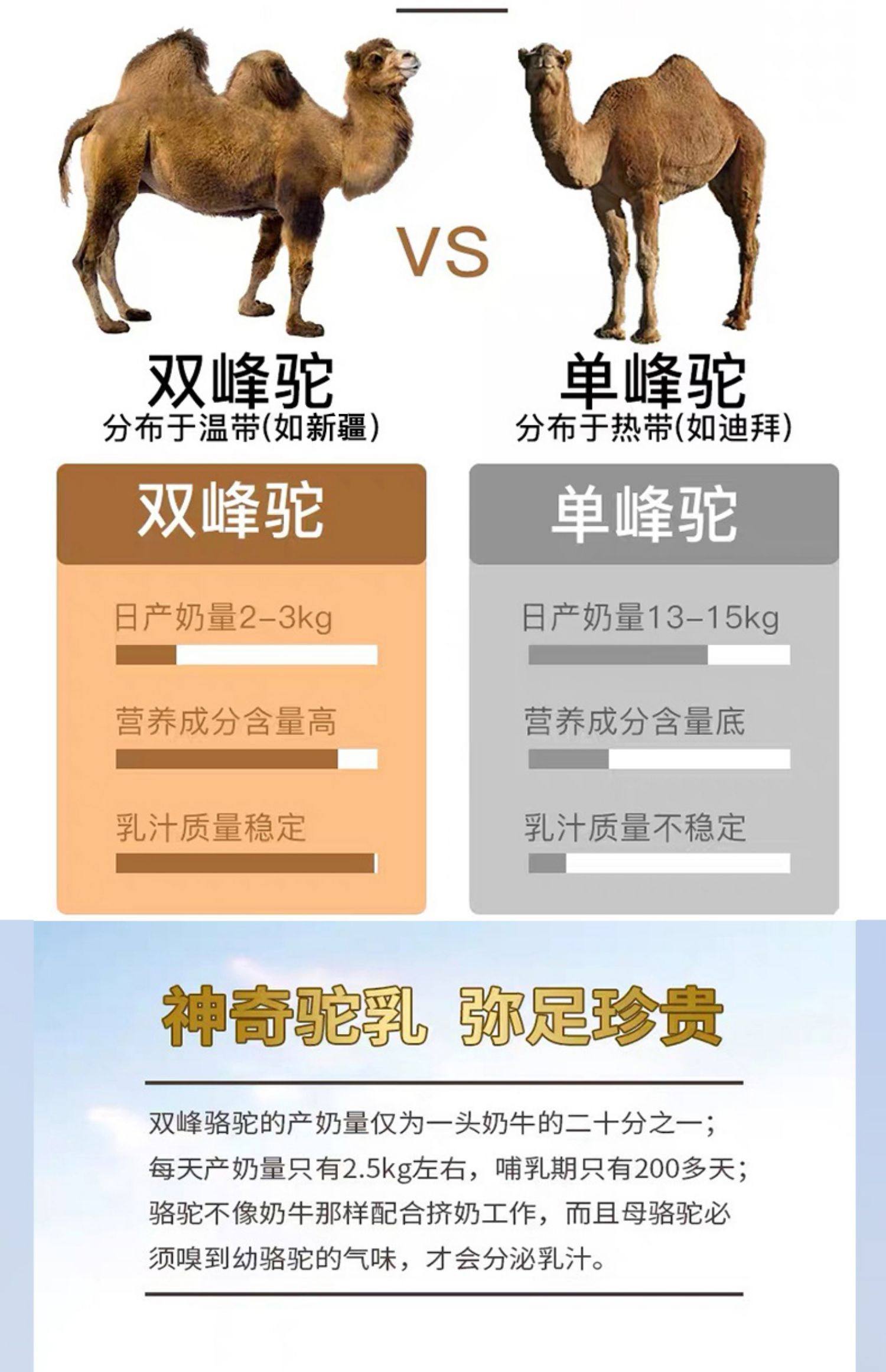 金冠驼骆驼奶粉新疆伊犁驼奶儿童成年中老年无糖骆驼奶营养粉官方_91