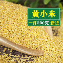 Gansu Tianshui Xiaohuang rice Yellow millet Millet yellow millet Millet moon rice farmers produce new rice of the year