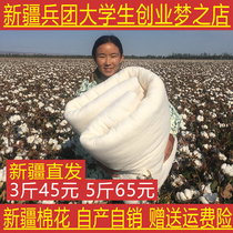 Xinjiang long-staple cotton quilt cotton wool 100% thickened warm winter quilt core double high-quality mattress quilt cotton quilt