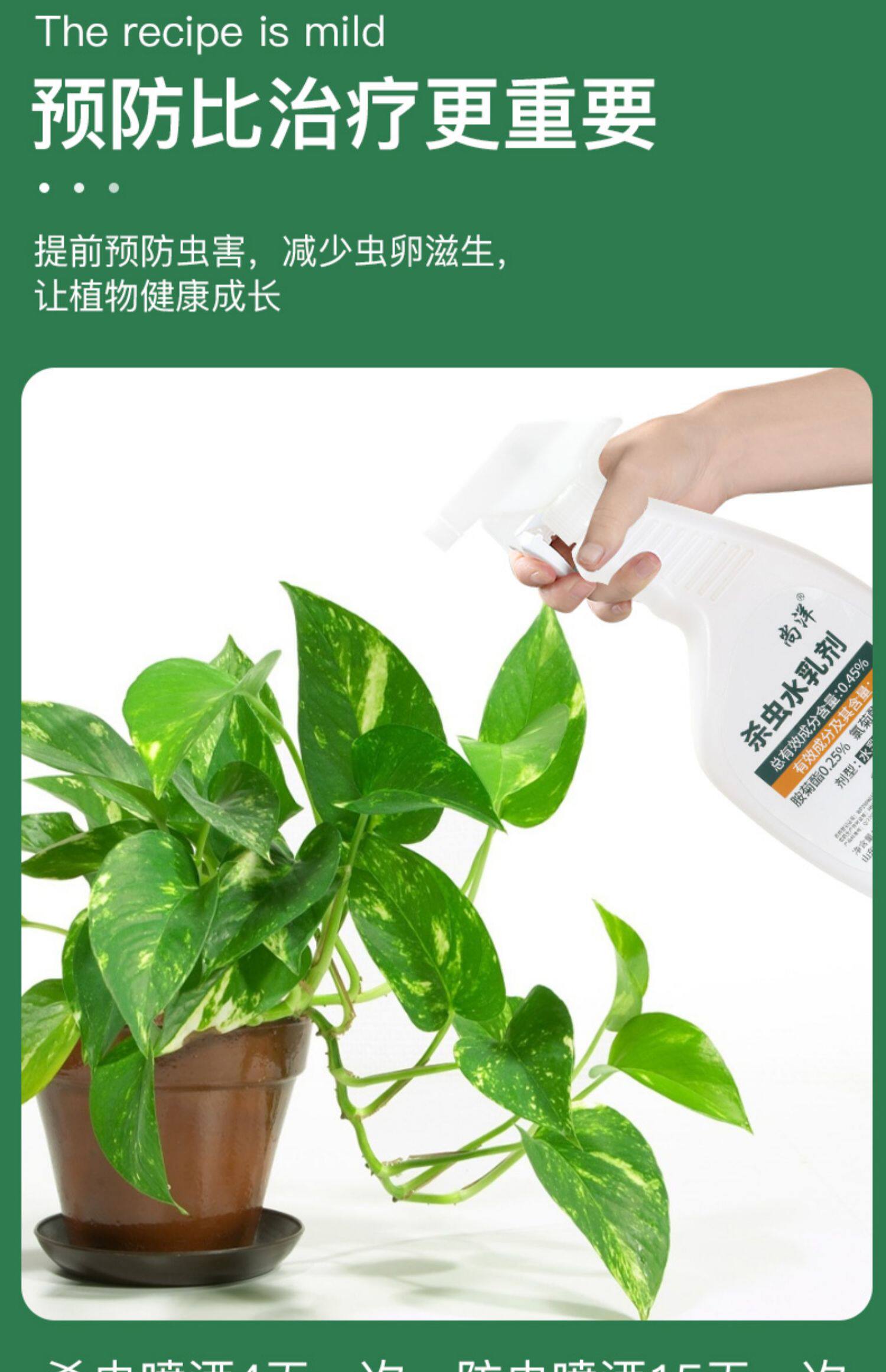 花卉杀虫剂植物家用蚧壳虫蚜虫红蜘蛛专用药多肉月季通用花草除虫_采