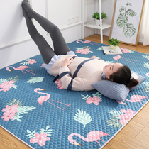 Customizable Nordic pure cotton household full bunk coffee table Crawling tatami floor mat Cotton bedroom carpet machine washable