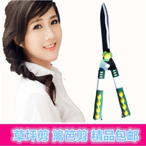 Horticultural Cutting Tree Cut handcut Lawn Cut Grass Clippings Scissors of branches Cut garden Winter Youth Cut garden Scissors Garden