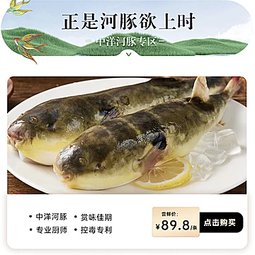 【中洋鱼天下】新鲜河豚鱼肉食已控毒[3元优惠券]-寻折猪