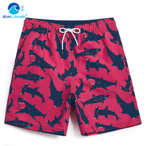 Gina Seaside Holiday Beach Pants Men Speed Dry Big Code Easy Flat Angle 50% Swim Trunks Swimming Trunks Wave with lining