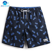 Gina Resort Beach Pants Male Large Code Loose Speed Dry Flat Corner Swimsuit Pants With Lining Thin Breathable Casual Pineapple Shorts