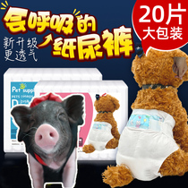 Little savoury piggy paper urine pants to prevent messy urinals Fecal Pet Pig Urine not wet to wear Shit Urine Butt pocket supplies