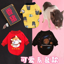 Small Fragrant Pig Clothes Thai Little Fragrant Pig Clothes Pet Pig Wear Mini Little Fragrant Pigs Clothes Little Fragrant Pig Supplies