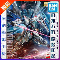 Bandai MG 1 100 Freedom free up ver 2 0