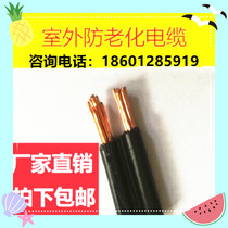 Aluminum core copper core anti-aging wire parallel wire outdoor outdoor wind and rain wire 2 core X 2 5 4 6 10 16 square