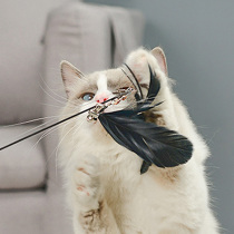 Cat toy cat stick fairy long rod self-Hi molars relief artifact feather cat toy favorite set combination