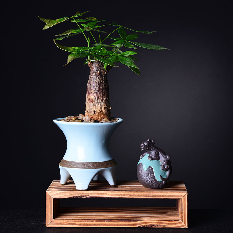 Combination of new Chinese style more creative ceramic flower pot meat asparagus rich tree green plant pot contracted bracketplant wholesale flower pot