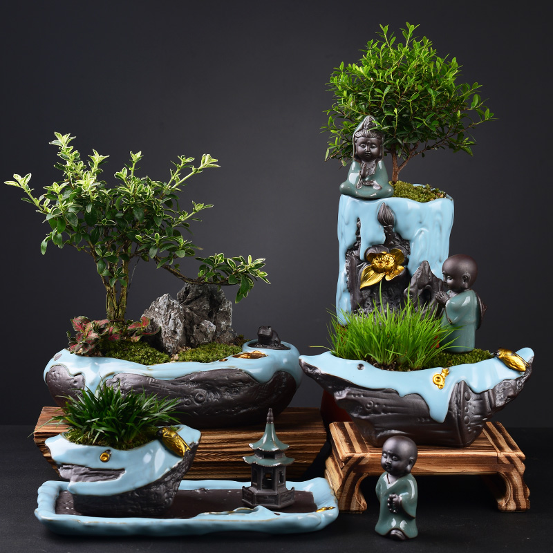 Creative potted bonsai POTS of new Chinese style household chamber the plants green asparagus calamus flowerpot porcelain basin