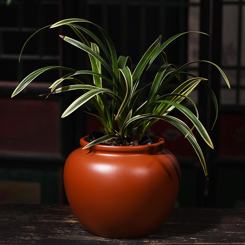 Yixing purple sand flowerpot indoor green plant pot of new Chinese style household bracketplant creative meaty plant ceramic orchid pot