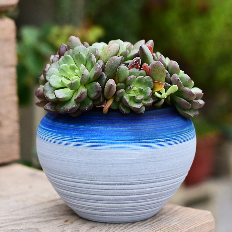 New Chinese style brilliantly coloured purple sand flowerpot more meat coarse pottery breathable household meat meat small indoor ceramic creative special offer a clearance