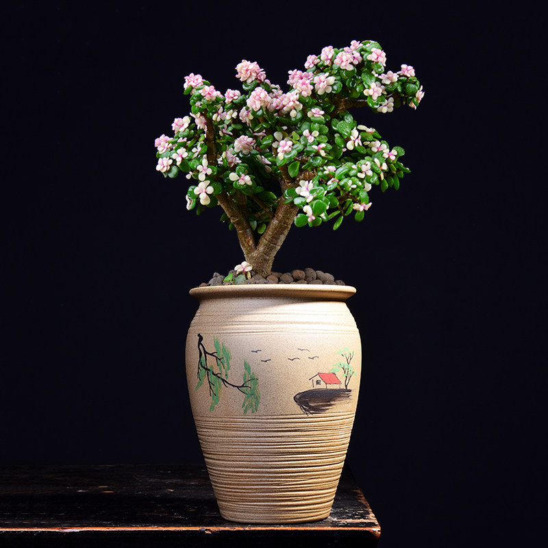 Special thick fleshy flower pot large old running the ceramic painting POTS high Lao - zhuang breathable clay painting creative mage basin