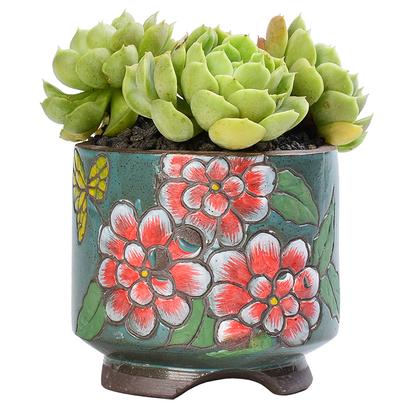 Fleshy ceramic flower pot meat meat, green potted the plants coarse pottery creative household Korean hand - made pottery clay tall old from running