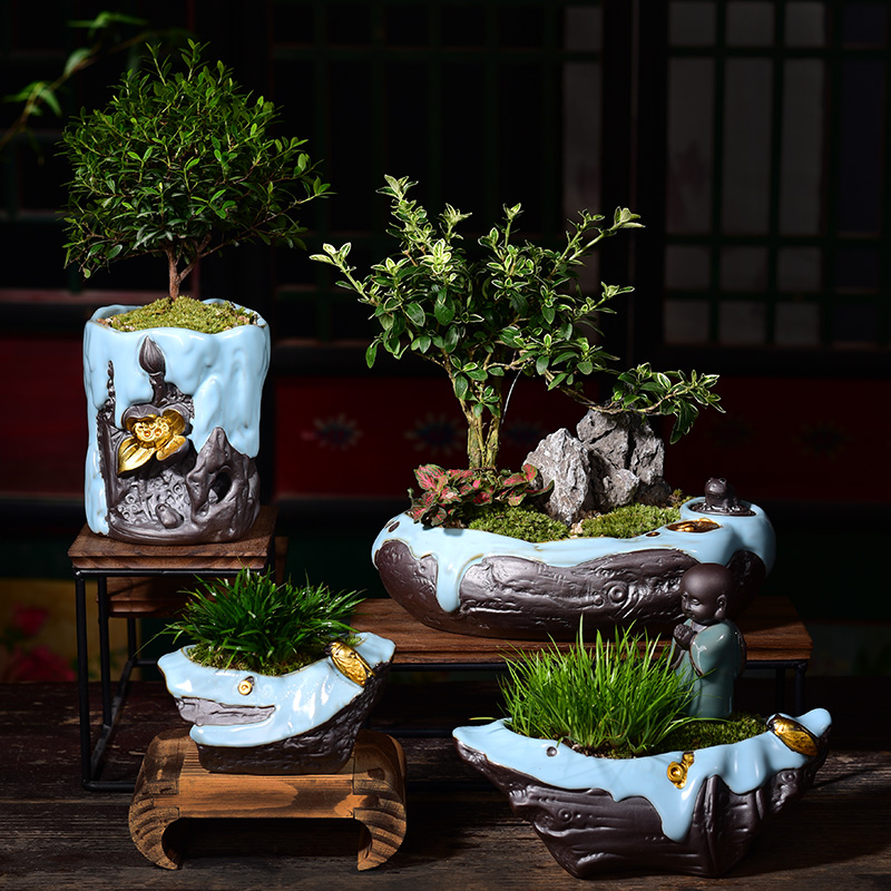 Your up POTS creative new Chinese style bonsai pot green plant household indoor asparagus calamus zen furnishing articles violet arenaceous basin