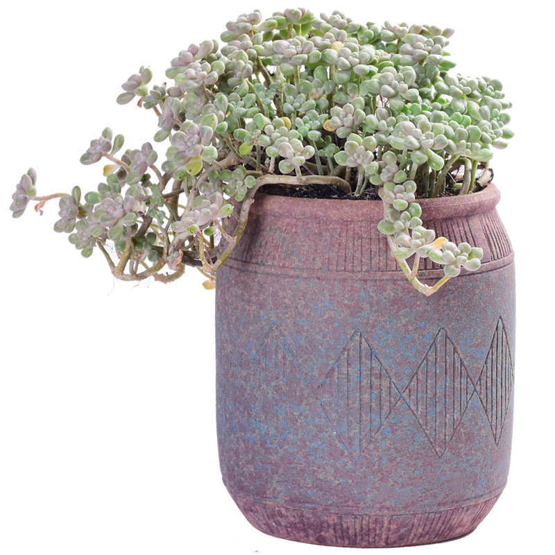 Complex ancient running the basin fleshy mage ceramic coarse pottery flowerpot breathable tall fleshy plant creative household balcony