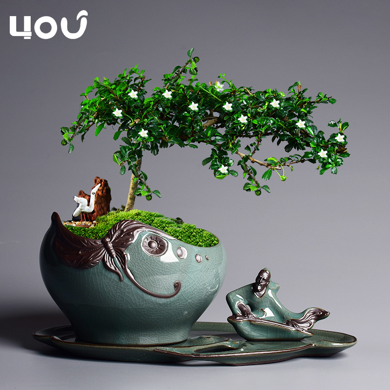 Elder brother up POTS ceramic Chinese wind creative combination bonsai home green plant pot large plant pot