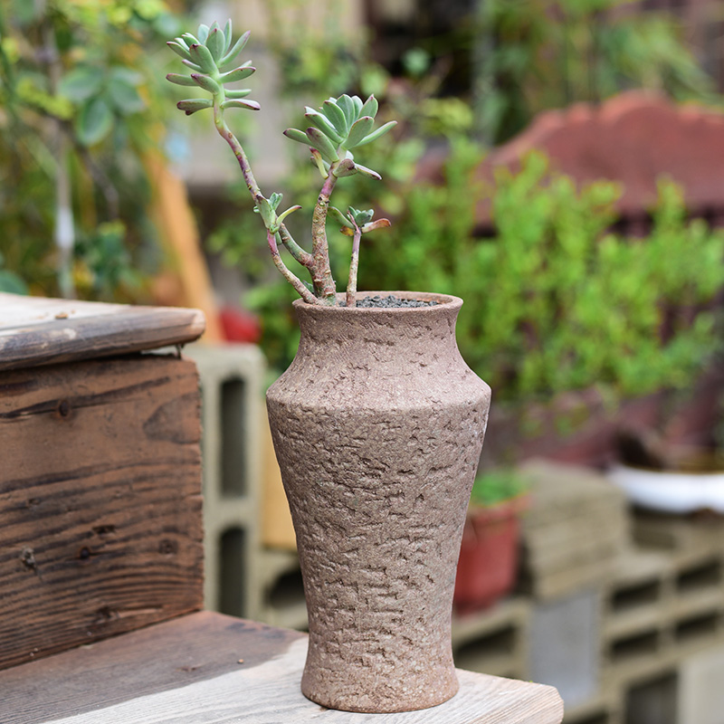 Meaty plant pot large ceramic clearance coarse pottery breathable creative POTS household retro mage old running the basin