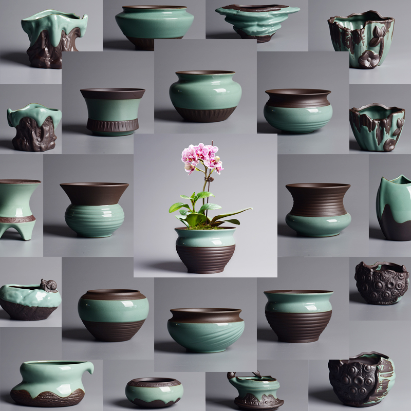 Chinese wind fleshy pot ceramic creative household the plants potted bracketplant flowerpot small butterfly orchid special rich tree