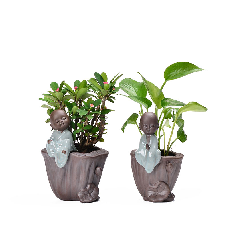 Fleshy flower pot small zen monk creative purple ceramic flower implement copper money plant grass flesh hydroponic plant containers