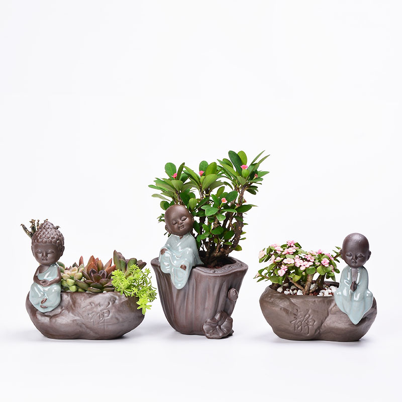 Fleshy flower pot small zen monk creative purple ceramic flower implement copper money plant grass flesh hydroponic plant containers