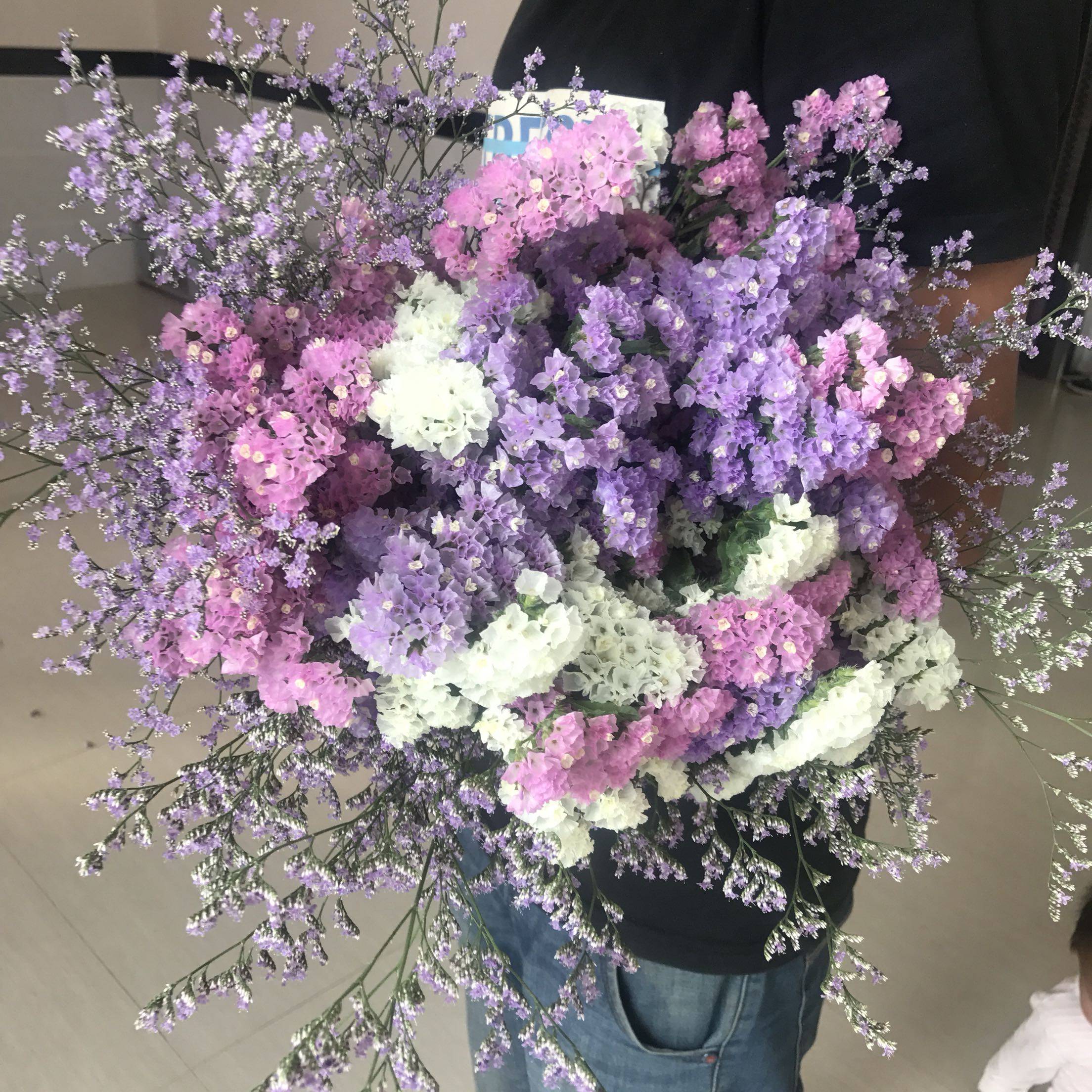 云南鲜花干花勿忘我情人草组合花束客厅卧室装饰插花家居摆设毕业