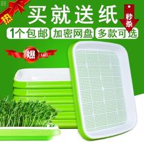 Raw bean sprouts machine household bean sprouts can hair mung bean peanut sprouts non-soil pottery sprouts bean sprouts planting bucket nursery Basin
