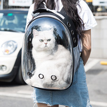 Cat Space Bag Backpack British Short American Short Puppet Cat Gold Gradually Layer Silver Gradually Layer Kitty Cat Outboard Cat Bag Supplies
