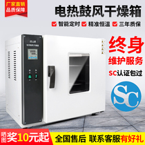 Electric constant temperature blast drying oven oven industrial oven laboratory file disinfection virus disinfection cabinet mold box