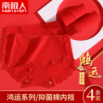 Antarctic peoples year of life pure cotton antibacterial lace underwear Female Cow New Years Wedding belly butt briefs head