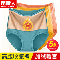 Antarctic high-waisted belly plus velvet underwear womens pure cotton antibacterial warm palace waist waist hip warm cold briefs head