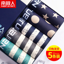 Antarctic mens pure cotton boxer four-corner panties trendy youth sexy Korean version of personality pants stripes breathable and comfortable