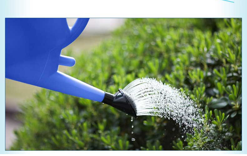 园艺阳台养花露台喷洒水壶洒水桶浇水桶浇花壶浇水壶10升8升5升