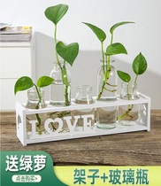 Creative simple hydroponic small vase ins Net Red office ornaments flower arrangement table decoration living room dried flower arrangement