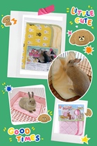 Japan Doge Comic Miniman Rabbit Toy Planing Big Meet the Fixable Warm Fleece Cushion Shaved