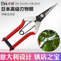 Taiwan Di Sheng Garden thin fruit shears Fruit picking grapes pruning shears Floral shears Sparse flowers and fruit picking fruit picking scissors