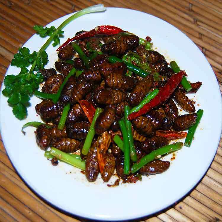 香辣蚕蛹 下单后现做高蛋白小零食 新鲜农家现炒清淡家常味熟蚕蛹