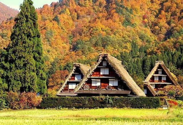 赏京都第一名胜到世界最美的树道