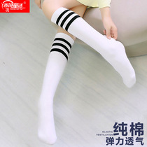 School Uniforms Socks Long Socks White Socks Striped Socks Midtubes Socks Skirt Pants Socks Black Group Socks