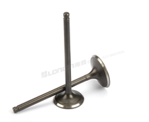 Crown Protection Longxin original motorcycle engine 125-200 valve