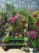 Muzi Ge courtyard arch seat flower frame multi-color European-style multi-meat shelf flower pot climbing vine frame old wedding